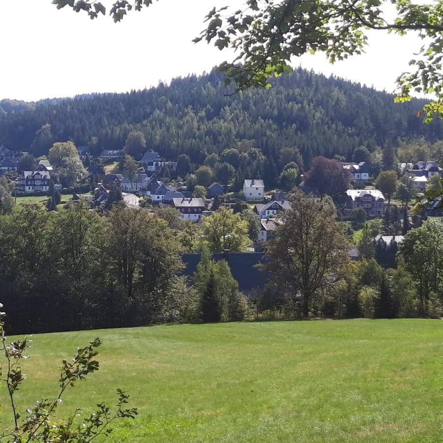 Haus Stefanie Elvire Lägenhet Altenberg  Exteriör bild