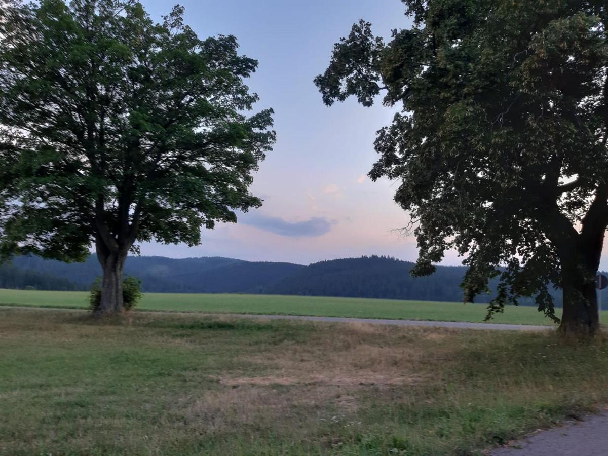 Haus Stefanie Elvire Lägenhet Altenberg  Exteriör bild