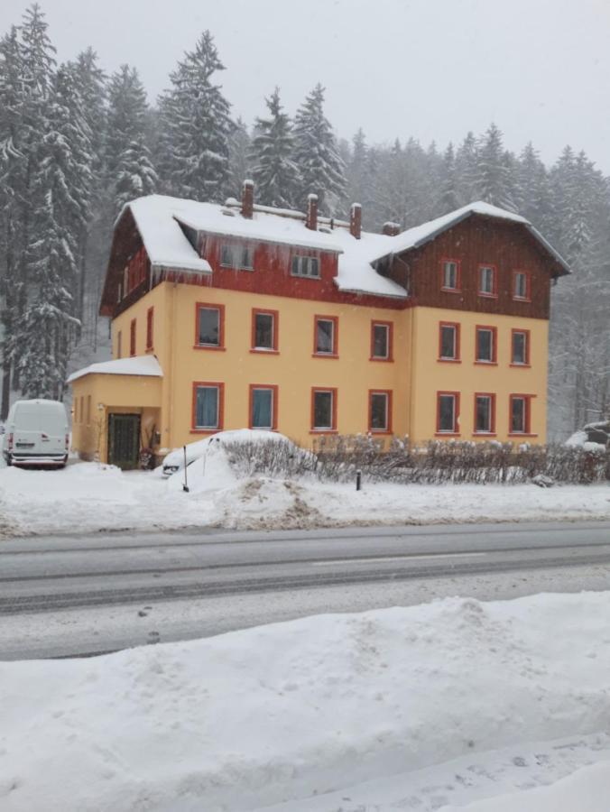 Haus Stefanie Elvire Lägenhet Altenberg  Exteriör bild