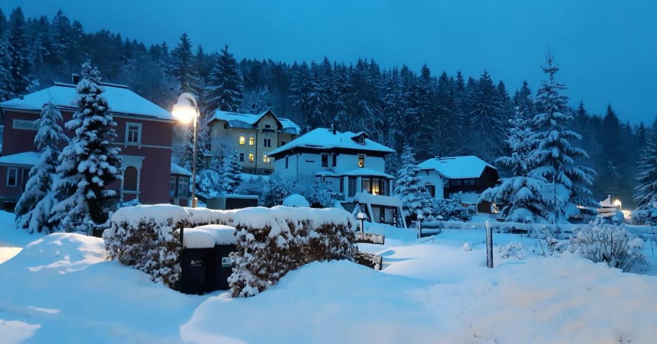 Haus Stefanie Elvire Lägenhet Altenberg  Exteriör bild