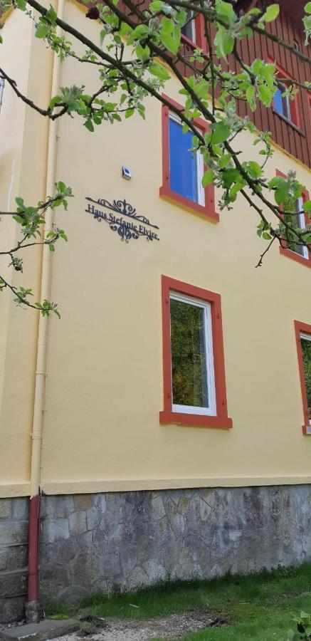 Haus Stefanie Elvire Lägenhet Altenberg  Exteriör bild