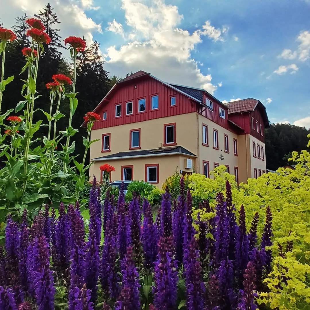 Haus Stefanie Elvire Lägenhet Altenberg  Exteriör bild